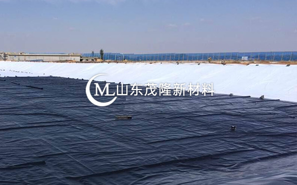 《衡水主城區生態修復工程》土工布、復合土工布施工