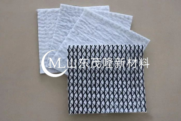 復(fù)合土工排水網(wǎng)/復(fù)合三維排水網(wǎng)  第1張