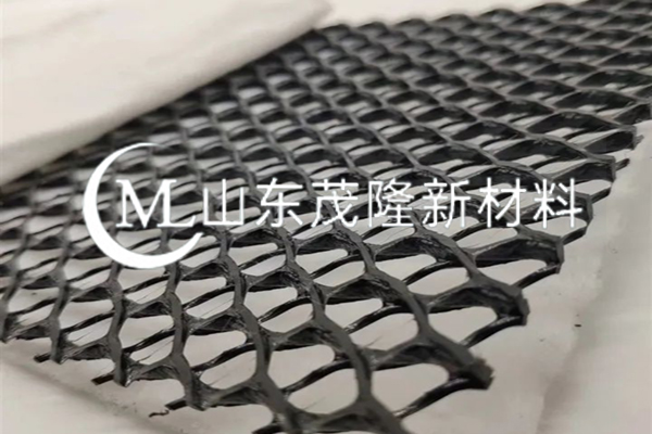 復(fù)合土工排水網(wǎng)/復(fù)合三維排水網(wǎng)  第2張
