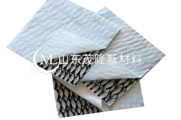 復(fù)合土工排水網(wǎng)/復(fù)合三維排水網(wǎng)  第3張