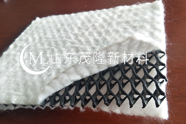 復(fù)合土工排水網(wǎng)/復(fù)合三維排水網(wǎng)  第4張