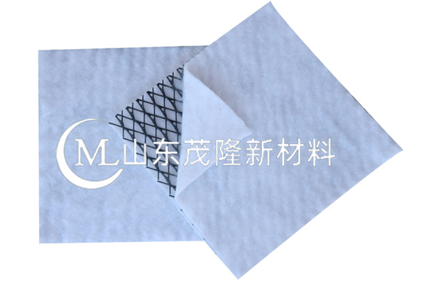 復(fù)合土工排水網(wǎng)/復(fù)合三維排水網(wǎng)  第5張