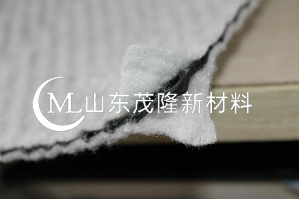 土工復合排水網/三維復合土工排水網  第1張