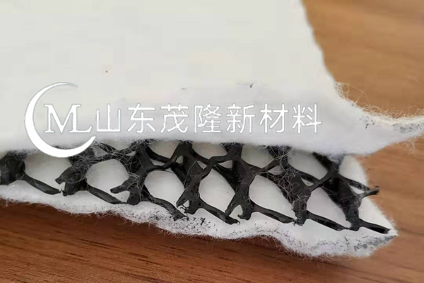 土工復合排水網/三維復合土工排水網  第3張