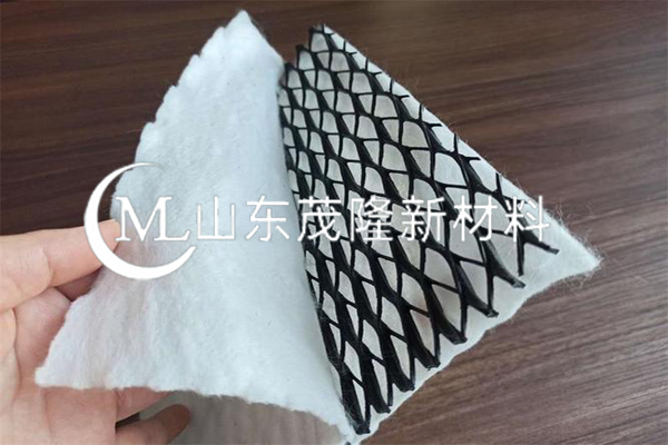 三維復(fù)合排水網(wǎng)  第3張