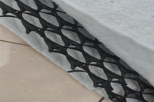 如何利用三維復合排水網在護坡及復綠中發揮作用 第3張