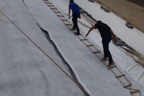 三維復合排水網怎么解決滲濾液淤堵  第1張